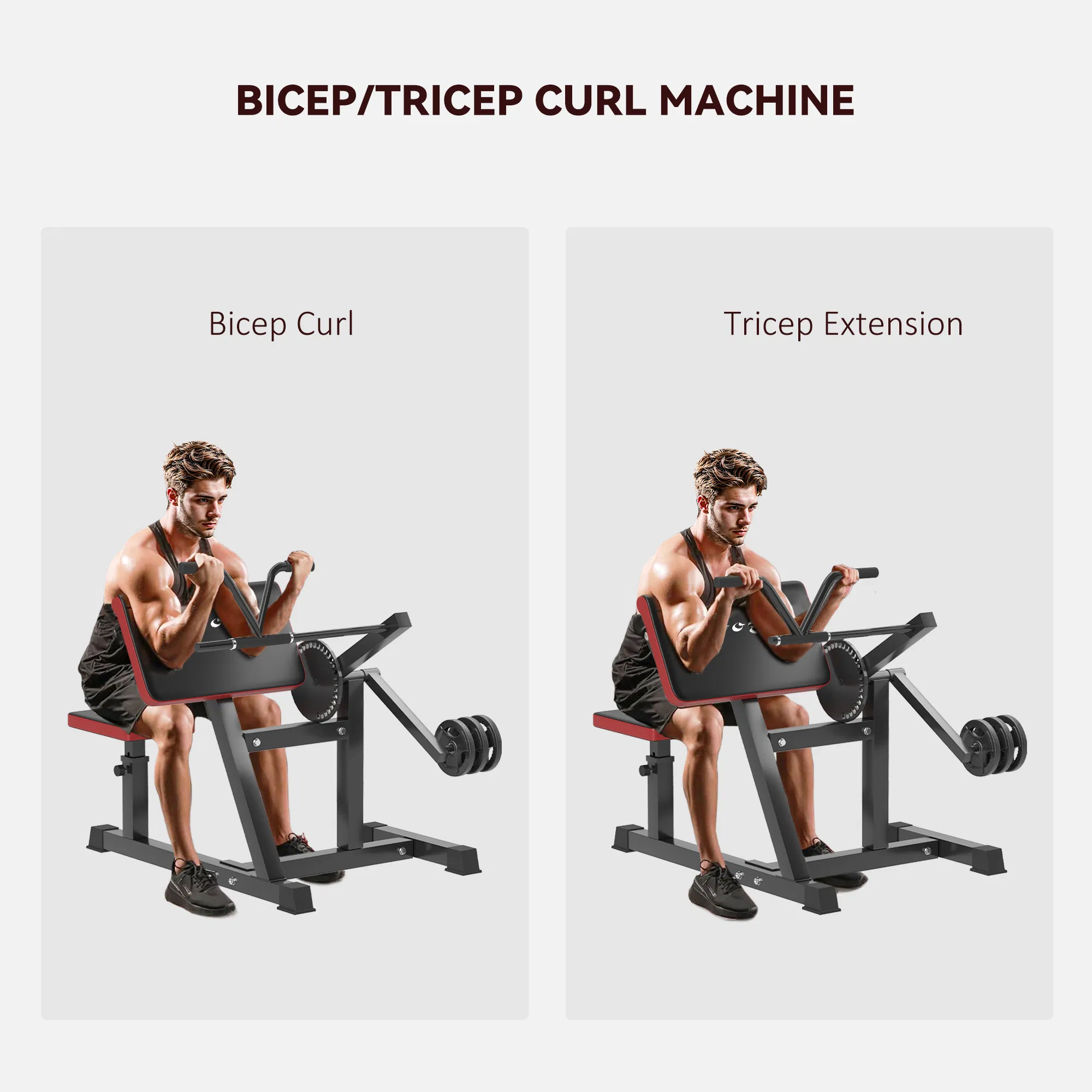 2-In-1 Bicep Preacher Curl Bench Bicep Curl Machine with Adjustable Seat and Elbow Cushion, for Home Gym Workout - Image 4