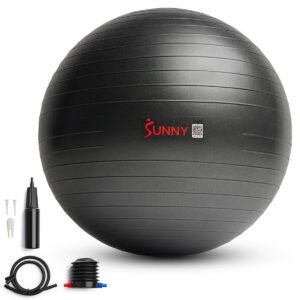 Sunny Health & Fitness Premium Yoga Ball Large 75CM