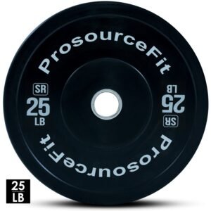 SR Bumper Plates (Single)
