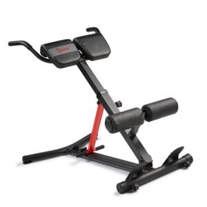Sunny Health & Fitness Hyperextension Roman Chair with Dip Station - SF-BH620062